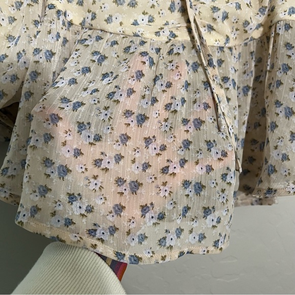 Franco Puff Sleeve Crop Top with Sheer Bottom - Picture 6 of 6